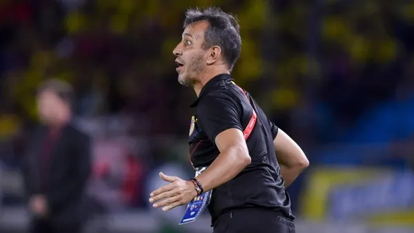 Fernando Batista se lamenta